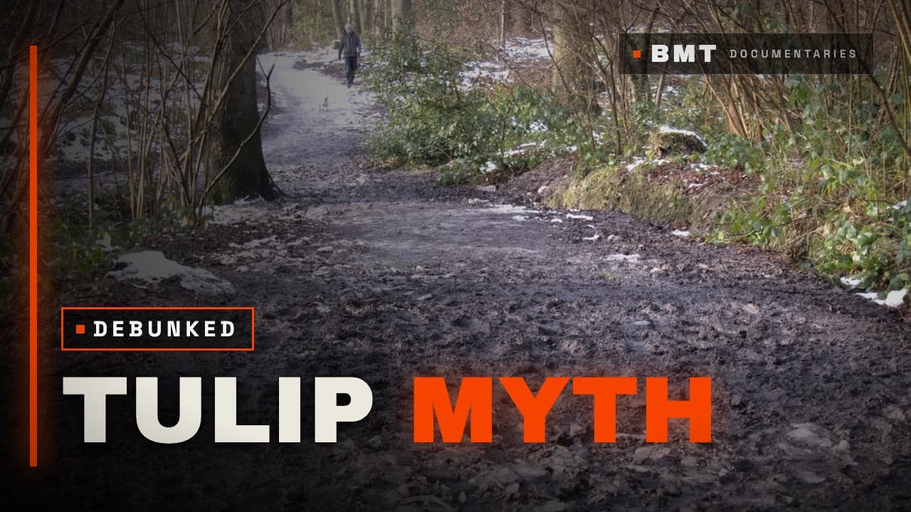 Tulip Myth Debunked — real thumbnail rendered by the documentary engine